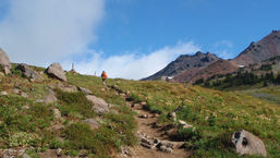 Walupt Creek - Packwood, WA