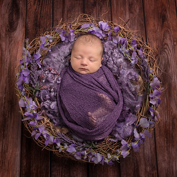 purple nest.jpg