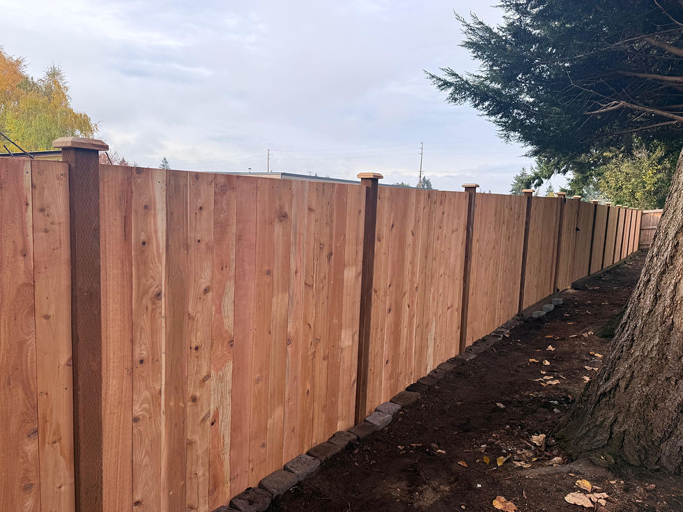 FENCE REPLACEMENT