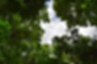DSC_0286_Original.JPG