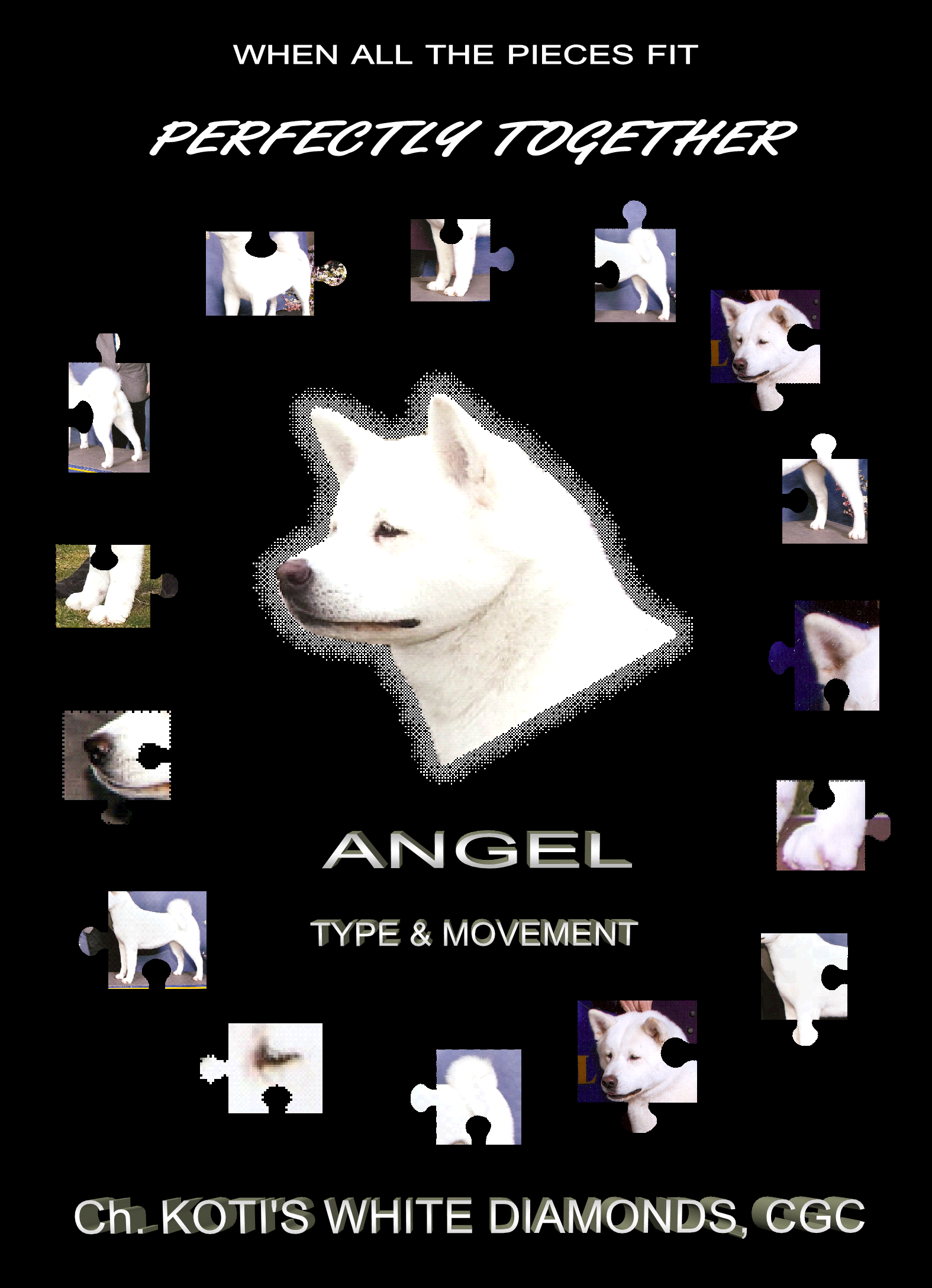 Angel's May 2008 ad 10x14pg1png