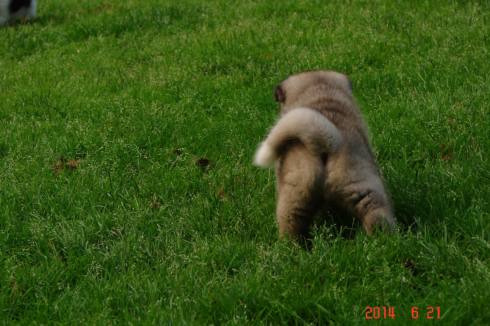 6 weeks (67).JPG