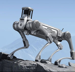 Robo