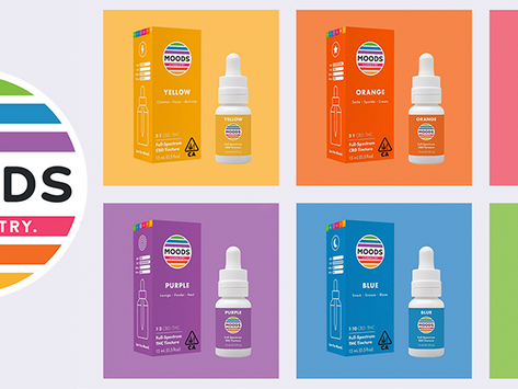Creative Concept + Direction: Moods