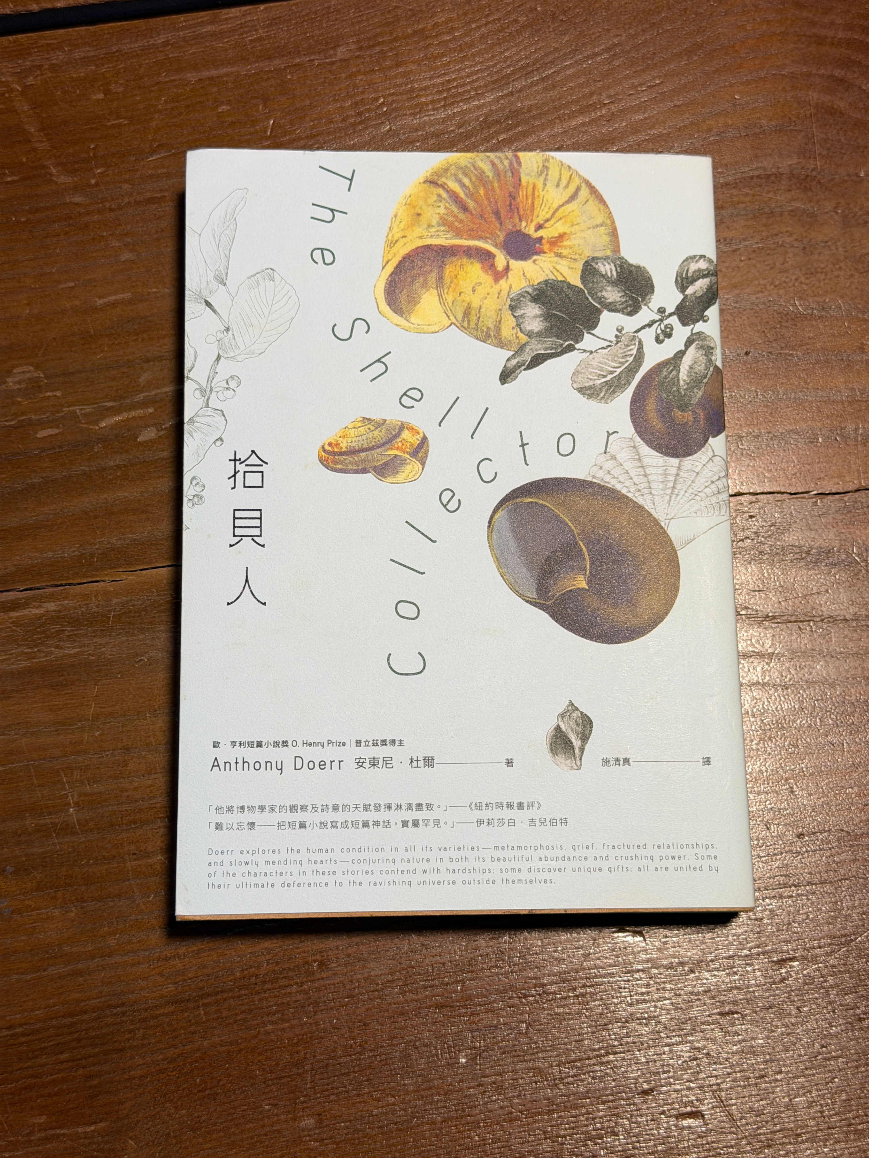 拾貝人 (安東尼‧杜爾(Anthony Doerr))