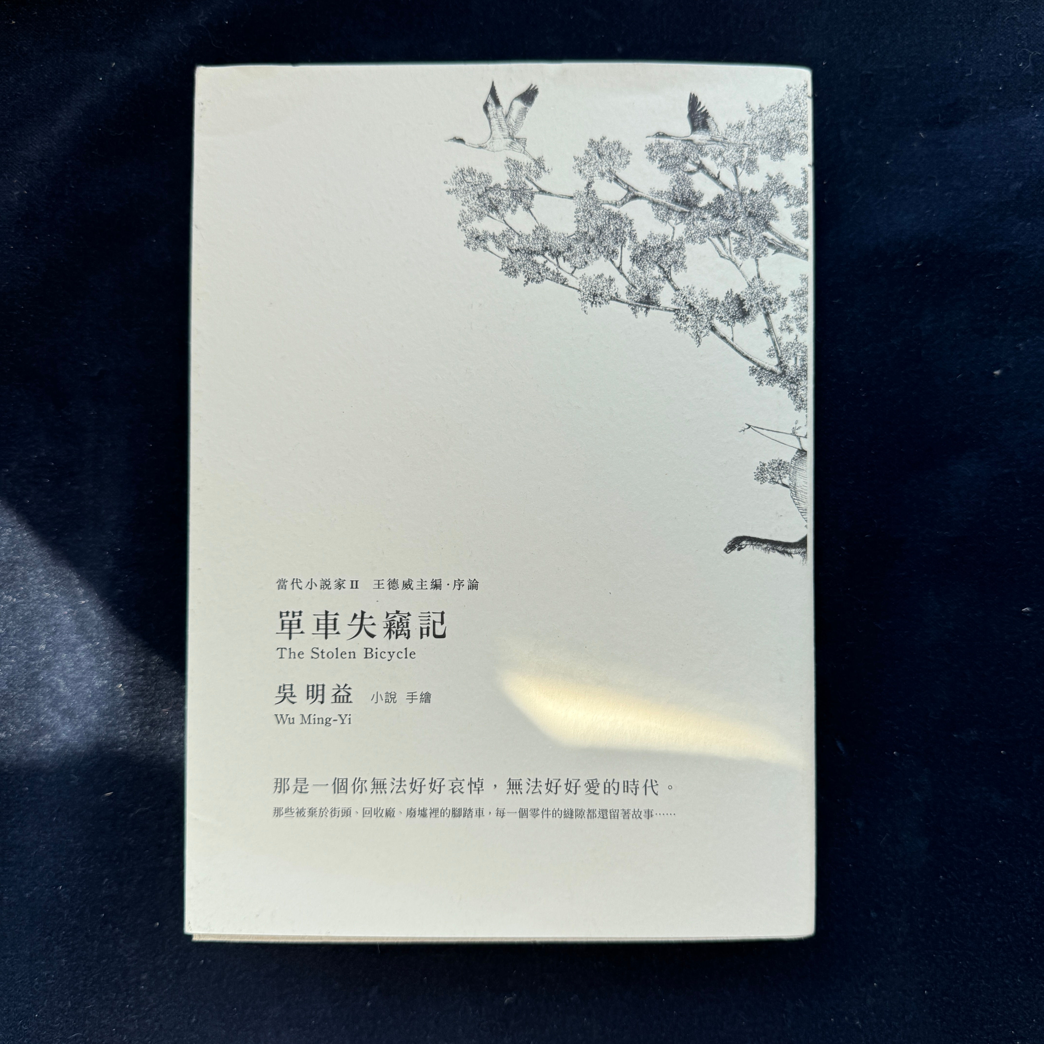 單車失竊記 （吳明益）