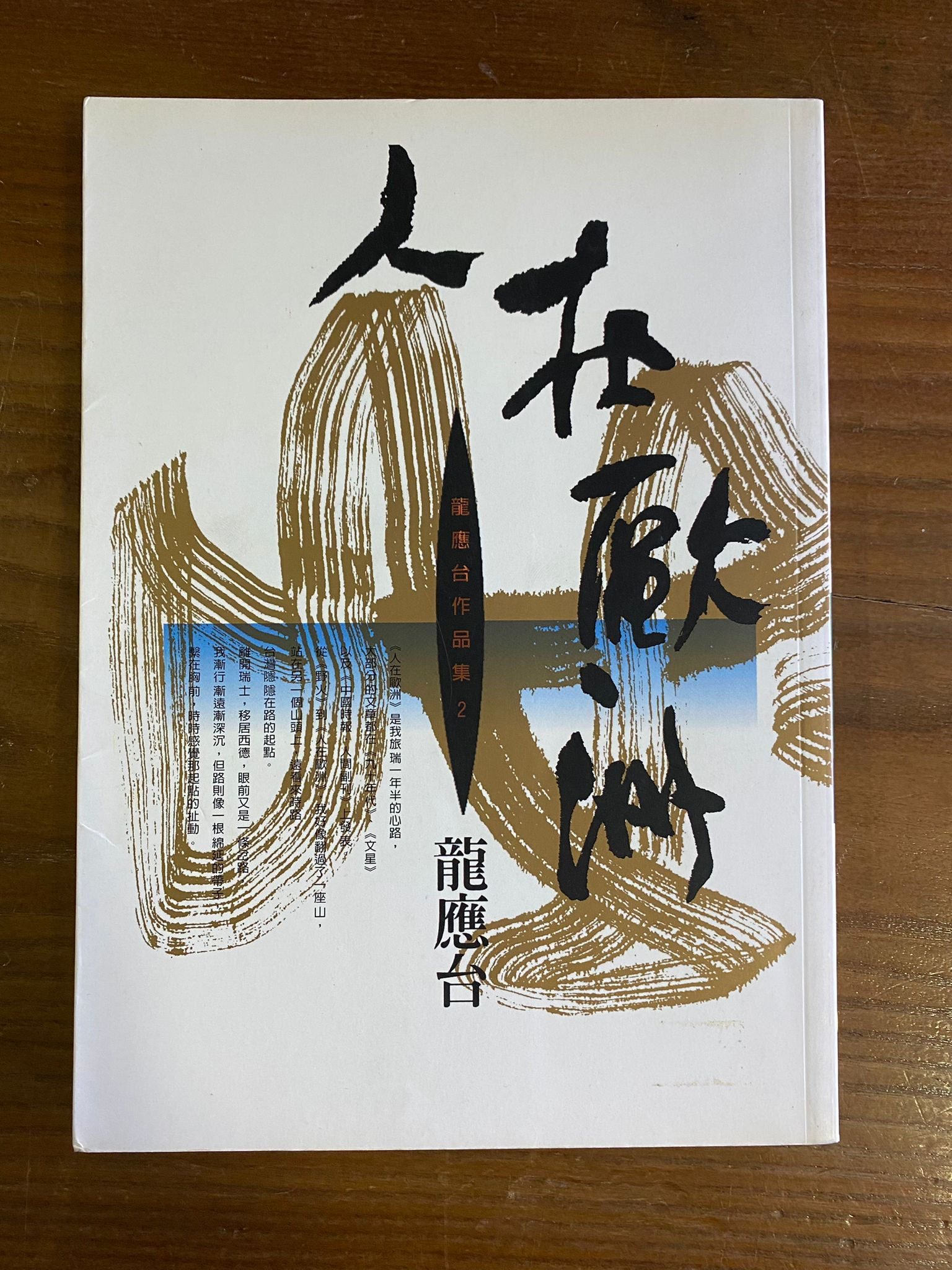 人在歐洲(龍應台)