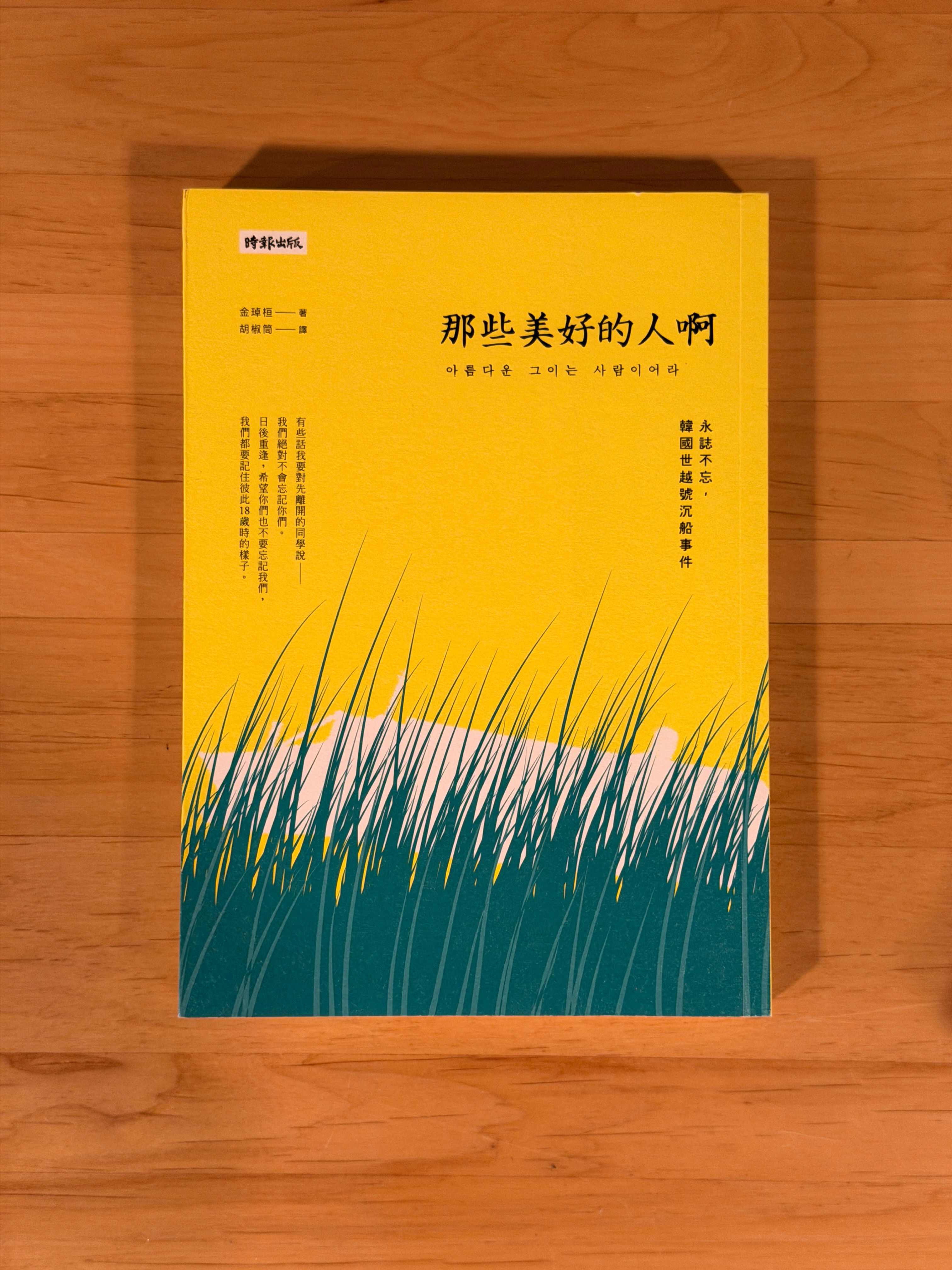 那些美好的人啊：永誌不忘，韓國世越號沉船事件 （金琸桓）