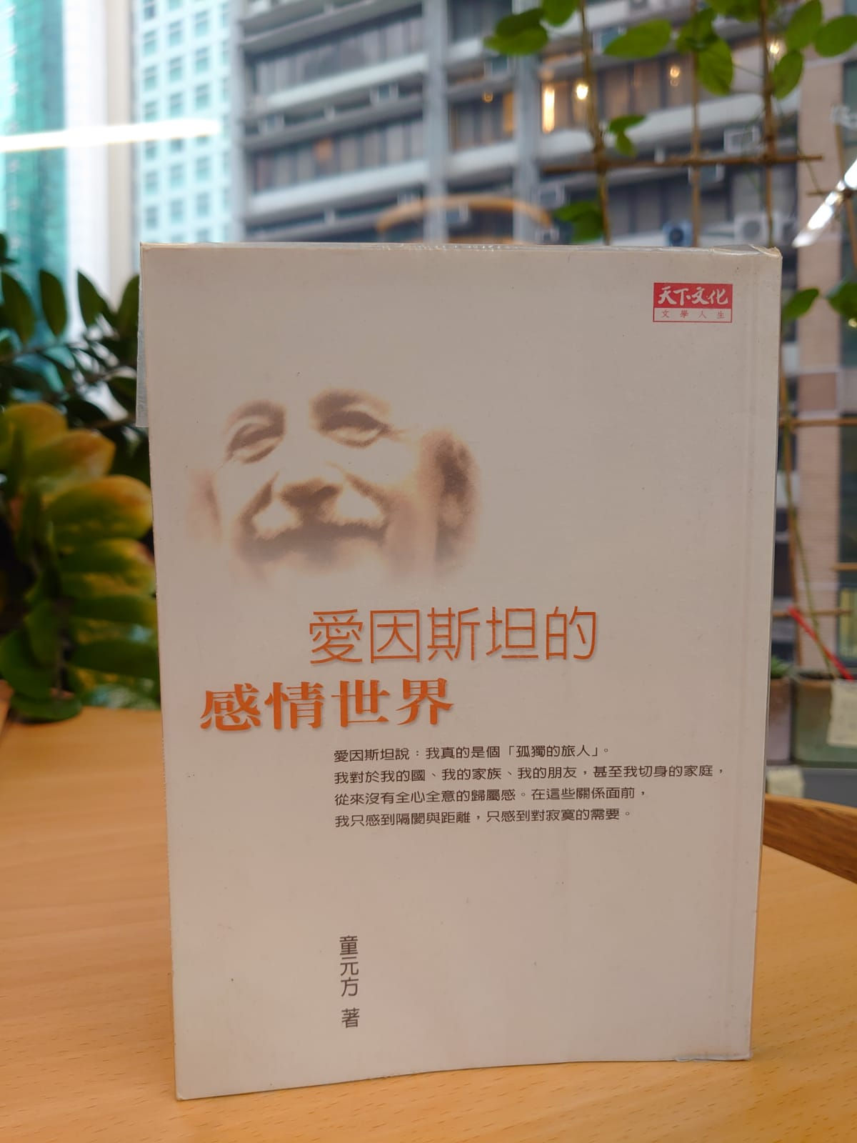 愛因斯坦的感情世界(童元方)