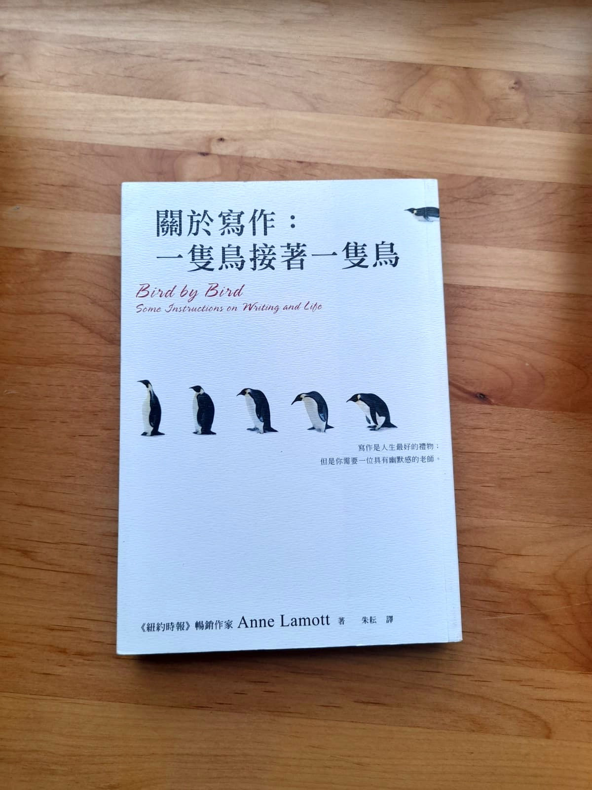 關於寫作:一隻鳥接著一隻鳥寫 (安‧拉莫特(Anne Lamott))