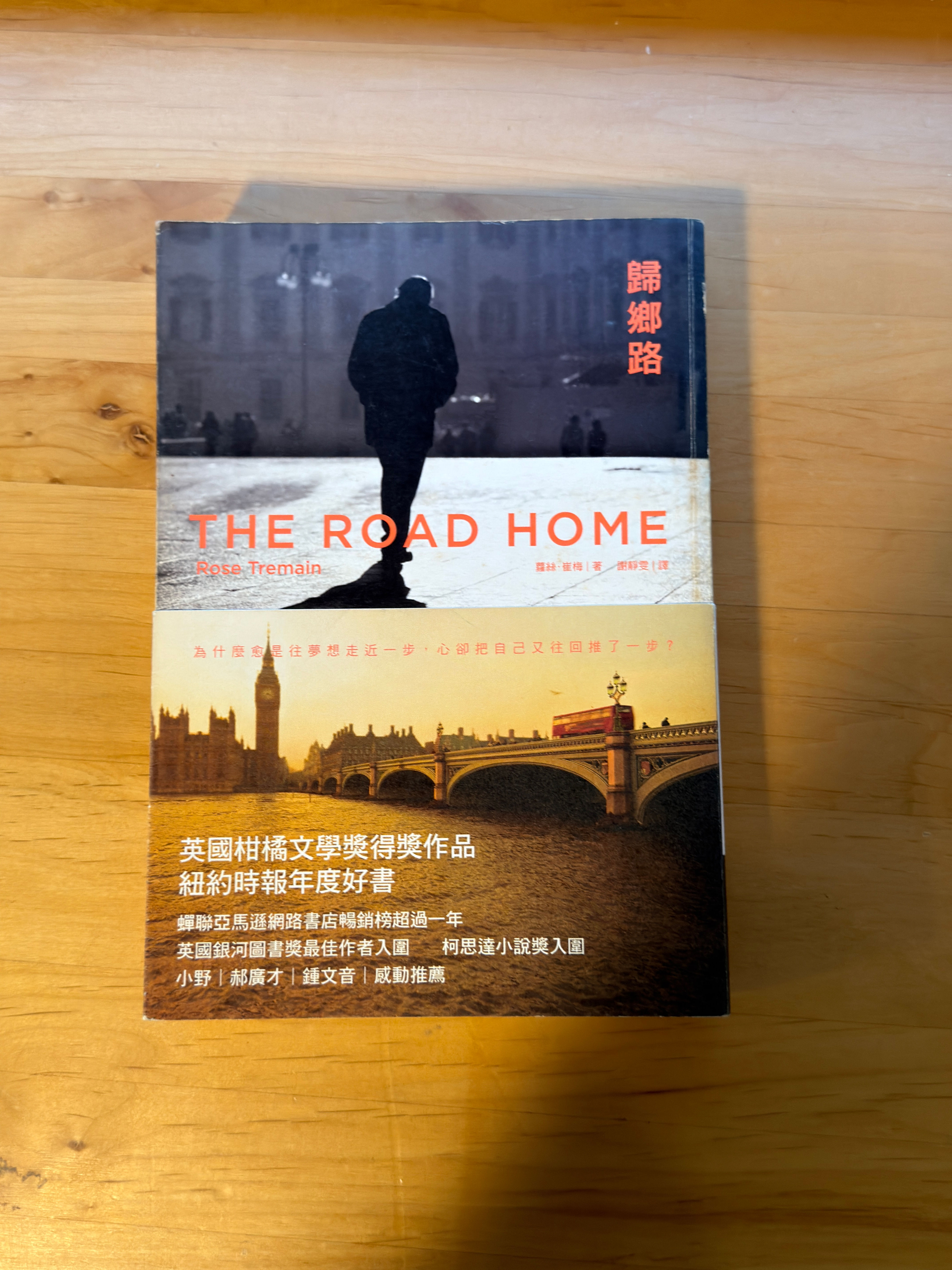 歸鄉路 （蘿絲．崔梅（Rose Tremain））