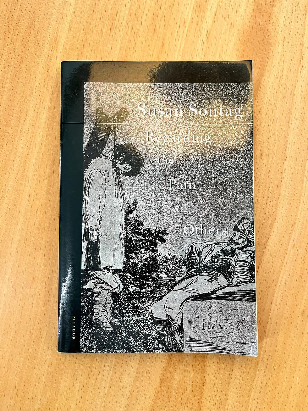 Regarding the Pain of Others (Susan Sontag)