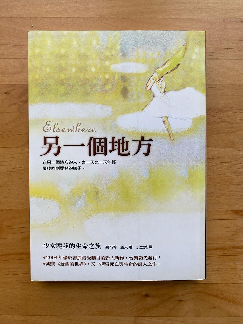 另一個地方:少女麗茲的生命之旅 (嘉布莉‧麗文(Gabrielle Zevin))