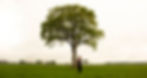 achtergrond foto ilse2.jpg