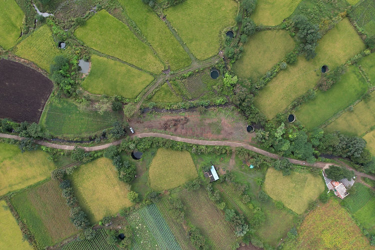 WhatsApp Image 2025-10-27 at 12.28.52.jpeg