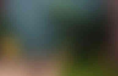 What is a content studio space? This is 2D FilmWorks content studio space's greenery set