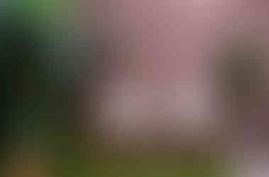 What is a content studio space? This is 2D FilmWorks content studio space's brick set