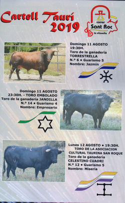 Bous 2019 1