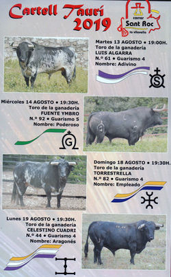 Bous 2019 2