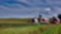 Iowa farm field.jpg