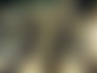 Four men walk across a zebra crossing on a tree-lined street. A white VW Beetle and other cars are parked nearby. The mood is calm.