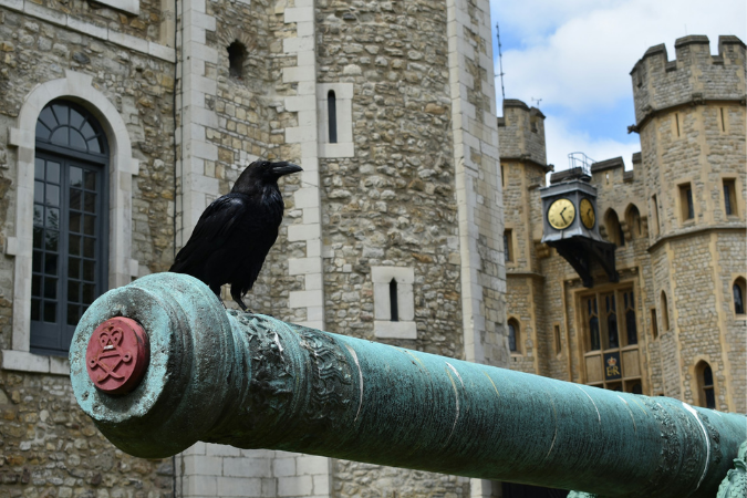 A raven perches on a green cannon outside a stone castle with a clock tower in the background. The sky is partly cloudy.