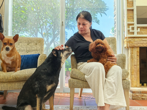 Woman sits on a chair, petting a black dog, while holding a small brown dog. Another dog is on the chair. Sunlit room with large windows.