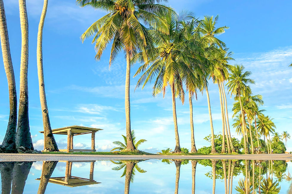 Tall palm trees reflected in a tranquil pond under a clear blue sky. A small pavilion is in the background, creating a serene tropical scene.