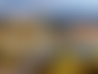 Bridge with traffic and UFO-shaped restaurant spans a river. Castle on a hill and cityscape in the background under a partly cloudy sky.