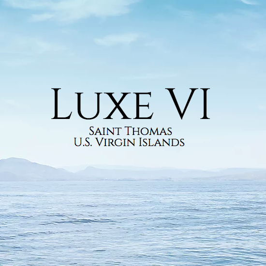 Luxe VI Services business image