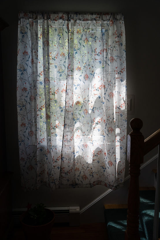 A7306257_edited.jpg