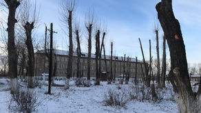 «Нас дети называют мамами, так повелось»