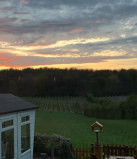 Sunset over Hemsted Forest