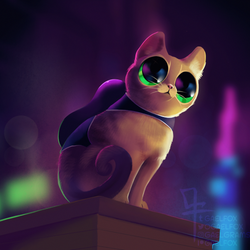 Small Cat, Big City