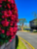 20200728_102752.jpg