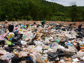 GAPS IN THE VALUE CHAIN OF SOLID WASTE MANAGEMENT: A CASE OF KERALA STATE