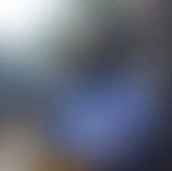 Zara- Trinidadian Feast