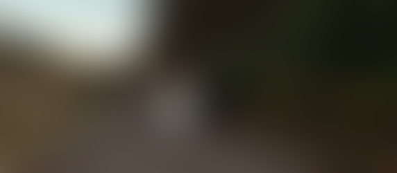 Drumtochty Castle: Where Fairytales Begin and Love Stories Unfold