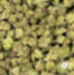 Permanent Marker Smalls - 30.89% (60/40 Indica Hybrid)