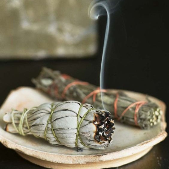Miniatura: Workshop incensi smudge venerdì 30 ottobre ore 20 a Florpark €25