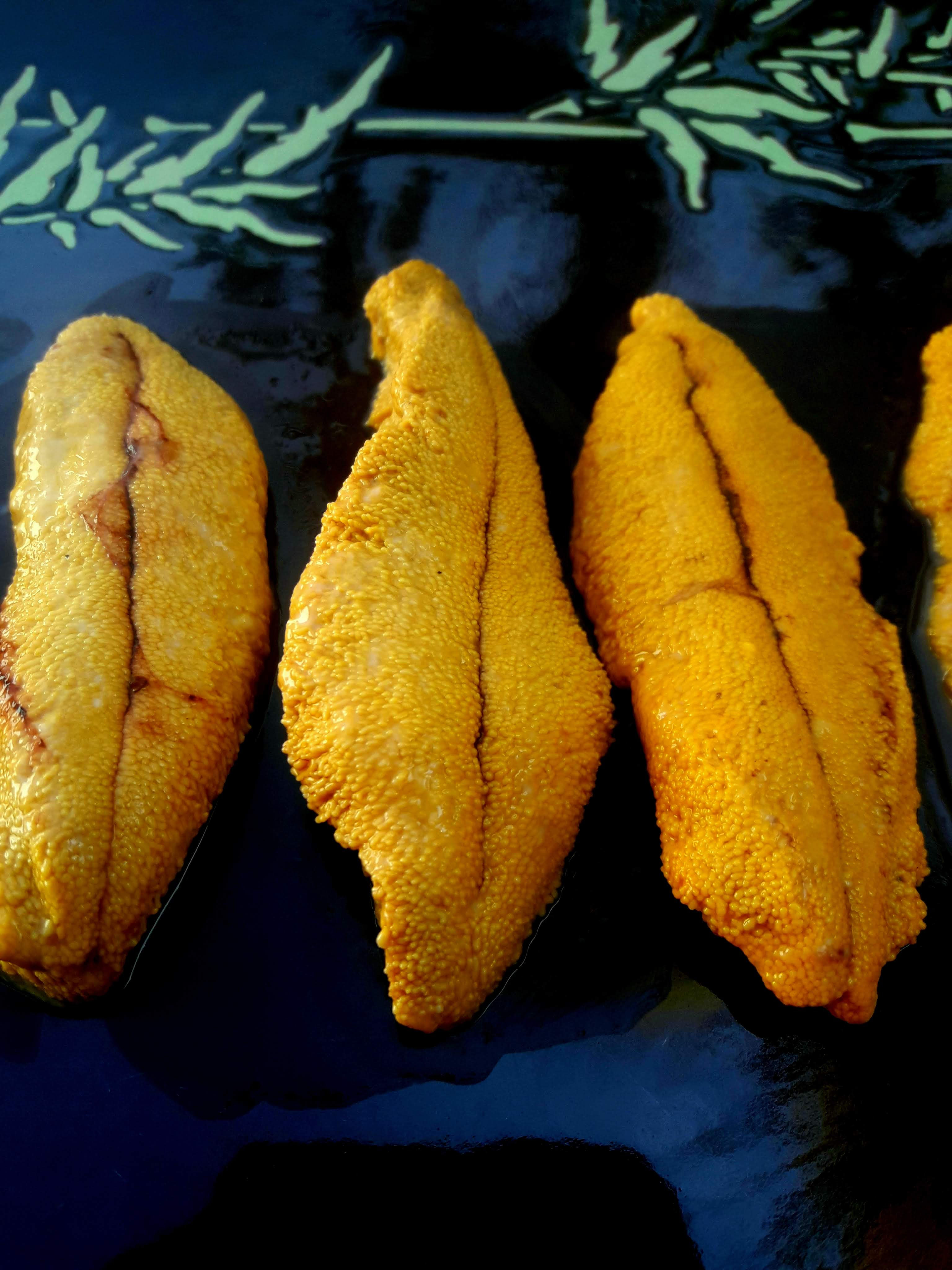 Pote Erizos frescos del norte 
