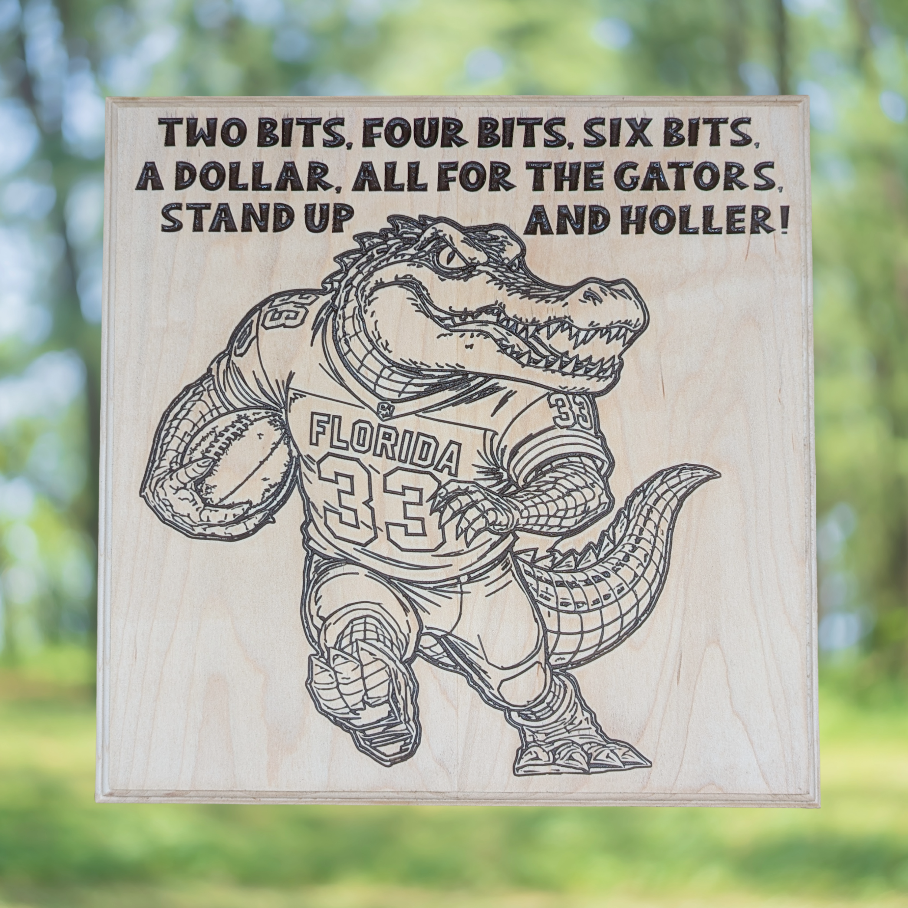 Florida Gators Football Carved Wood Sign