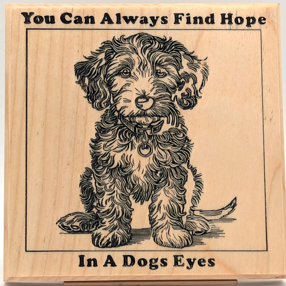 Thumbnail: You Can Always Find Hope In A Dogs Eyes Labradoodle