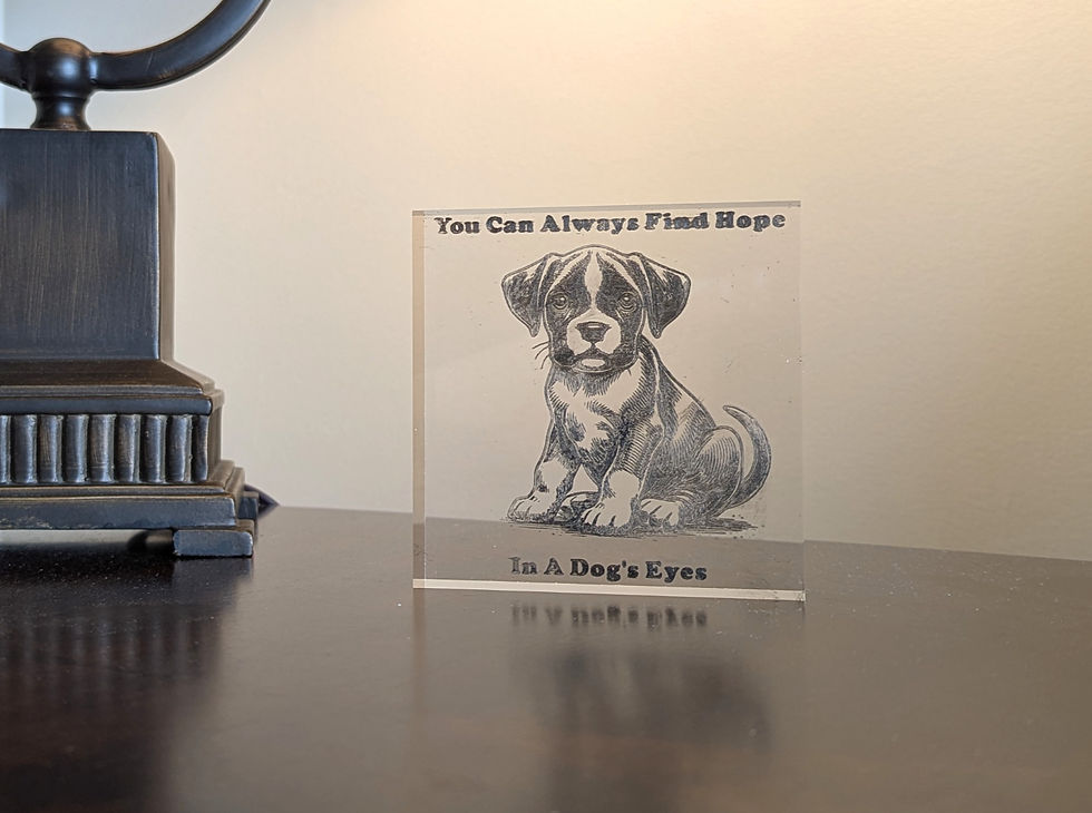 Thumbnail: You Can Always Find Hope In A Dogs Eyes Boxer Puppy