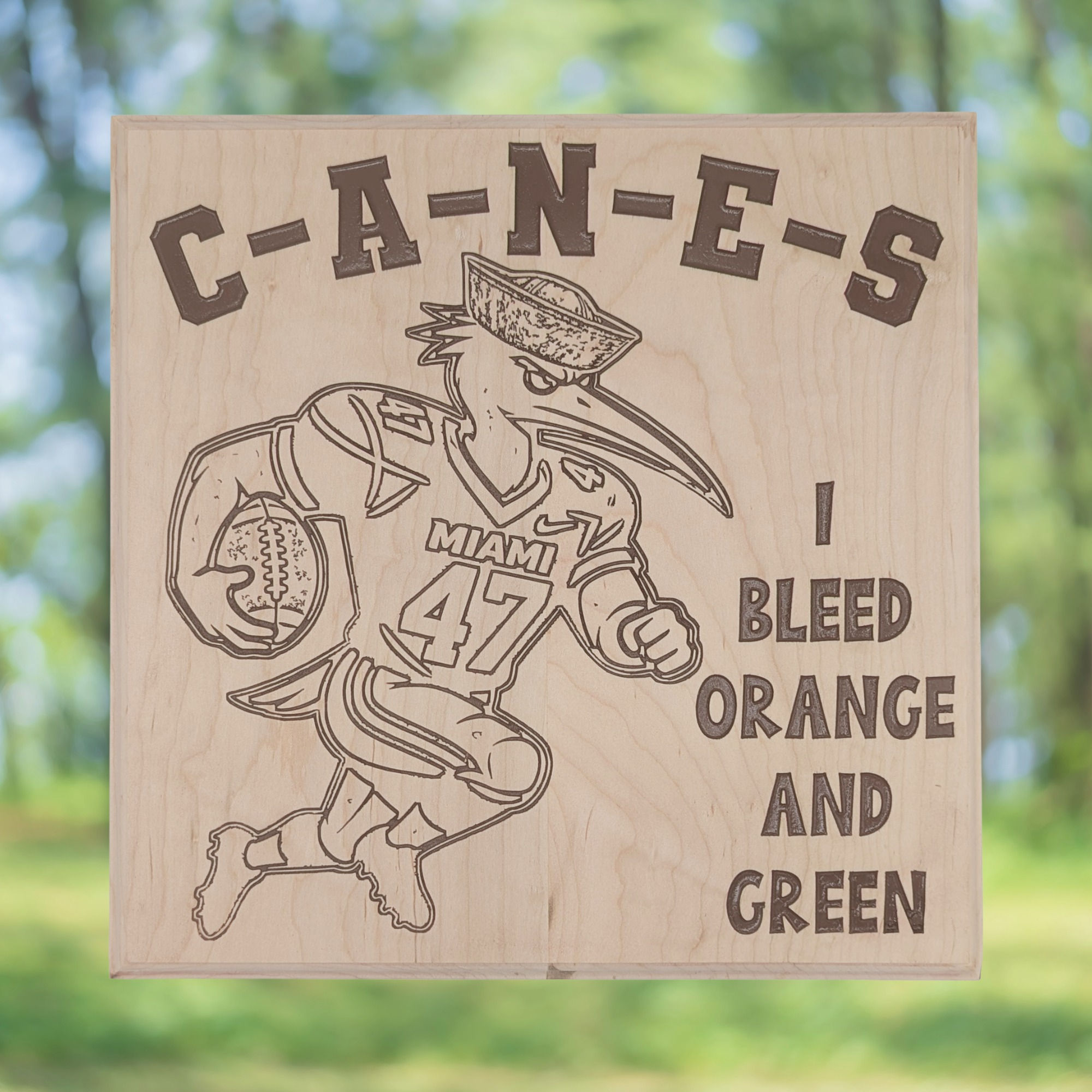 Miami Canes Football Carved Wood Wall Decor