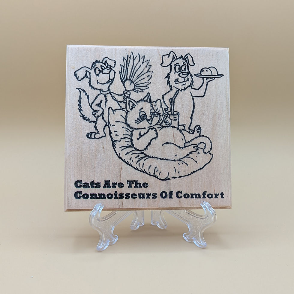 Thumbnail: Cats Are The Connoisseurs Of Comfort