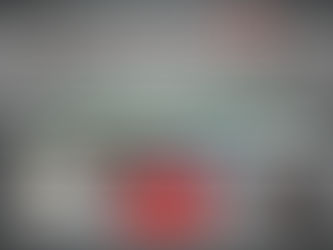 Quintana Roo dijo no a China