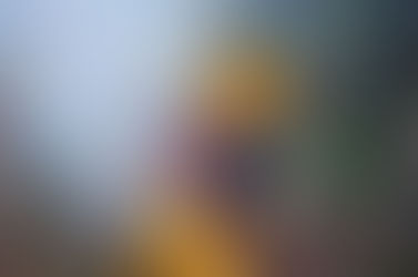 Incendios: brutal desprotección