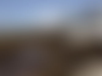 Sin ayuda contra el sargazo