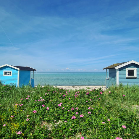 Kulørte badehuse på strand.